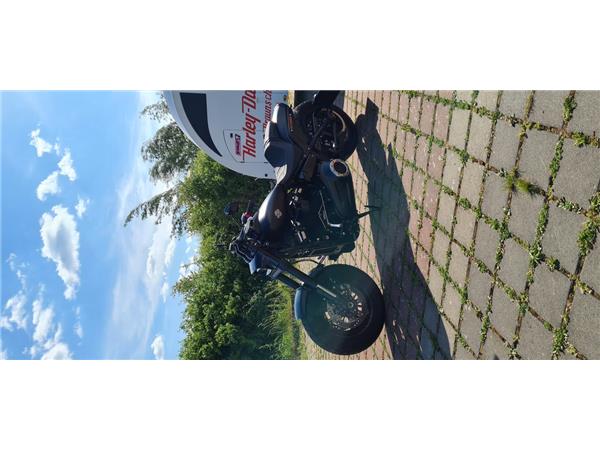 FXFB FAT BOB  107 