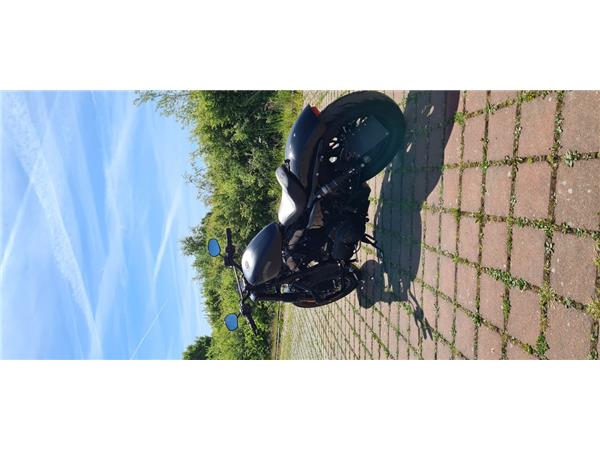 XL1200X 