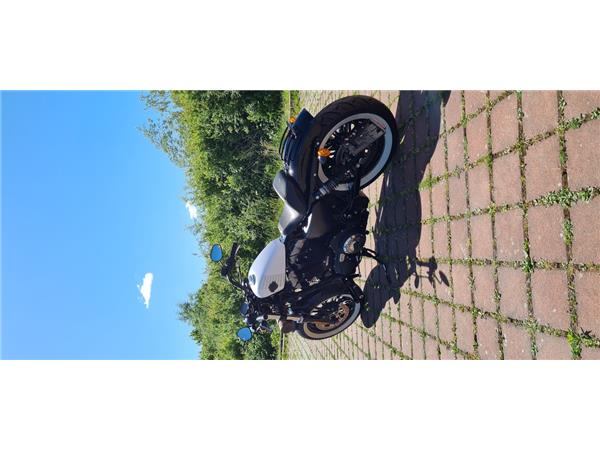 XL1200X FORTY EIGHT 