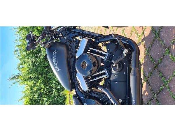 XL1200X FORTY EIGHT 