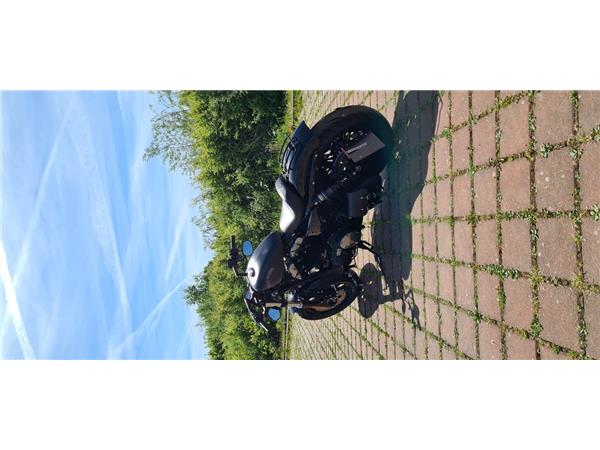 XL1200X FORTY EIGHT 