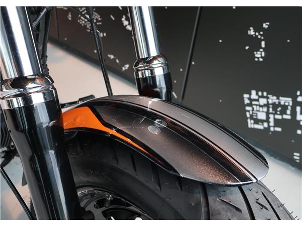 2014 HARLEY-DAVIDSON Dyna FXDF Dyna Fat Bob 103 ABS
