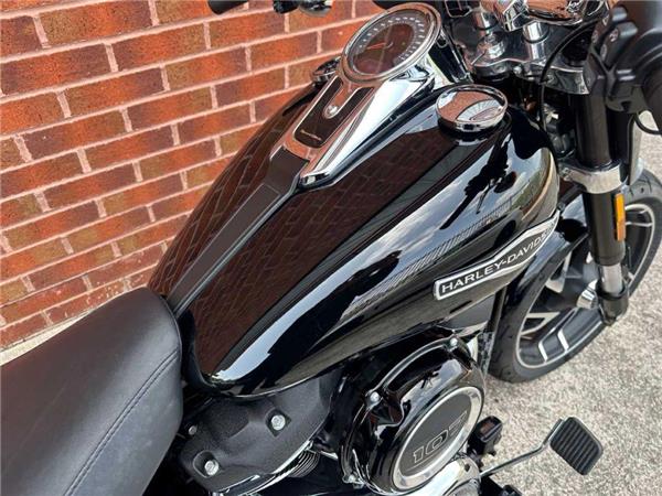 2020 Harley-Davidson Flsb Sport Glide 1745 20
