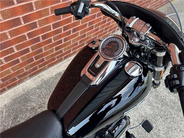 2020 Harley-Davidson Flsb Sport Glide 1745 20