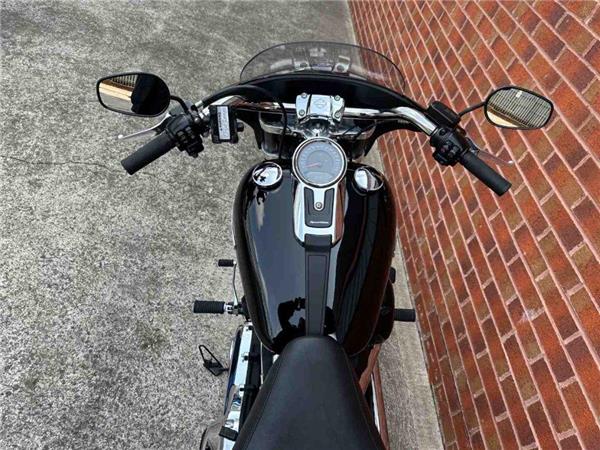 2020 Harley-Davidson Flsb Sport Glide 1745 20