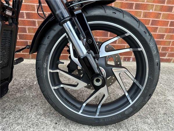 2020 Harley-Davidson Flsb Sport Glide 1745 20