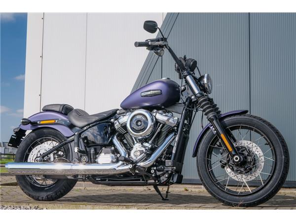 2025 Harley-Davidson Street Bob