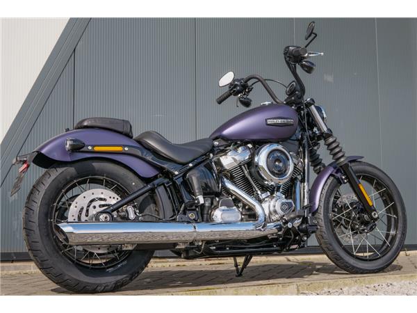 2025 Harley-Davidson Street Bob