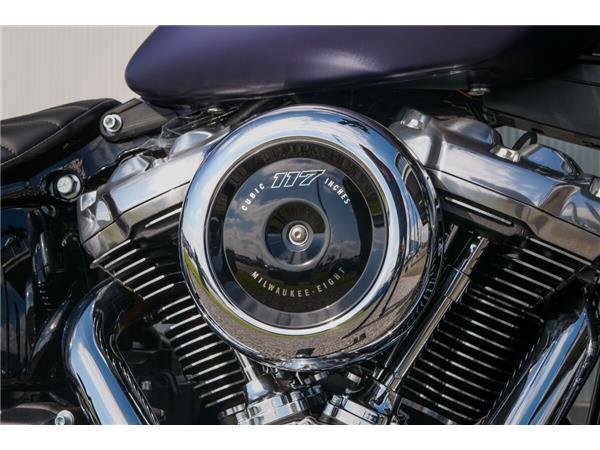 2025 Harley-Davidson Street Bob
