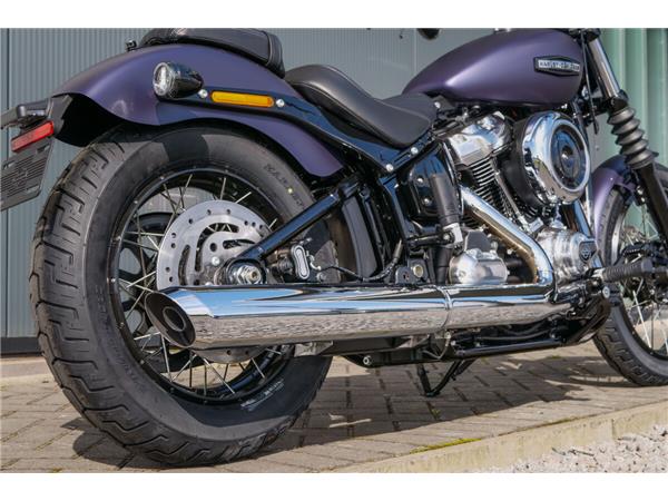 2025 Harley-Davidson Street Bob