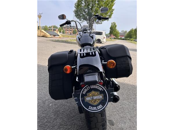 Softail Standard 