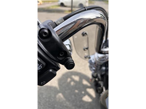 Softail Standard 