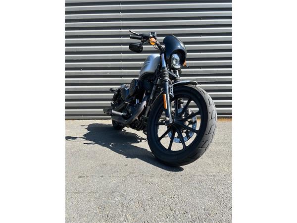 2019 HARLEY-DAVIDSON IRON