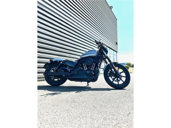 2019 HARLEY-DAVIDSON IRON