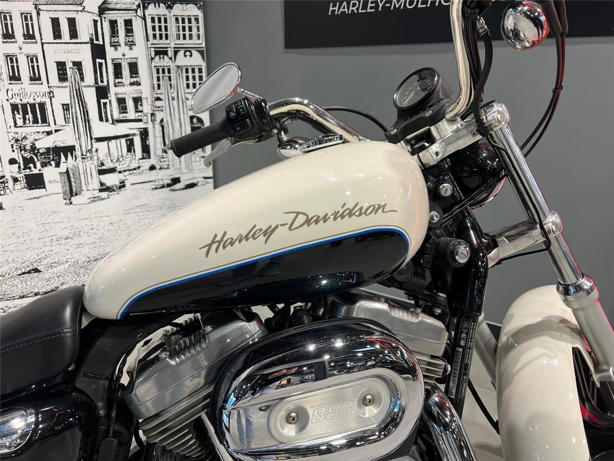 2013 HARLEY-DAVIDSON LOW