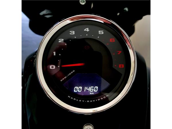 HARLEY-DAVIDSON FAT BOB 114