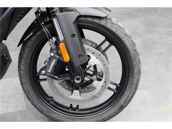 2021 Harley-Davidson Road King Special