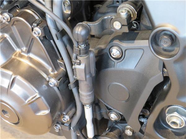 YAMAHA XSR900 
