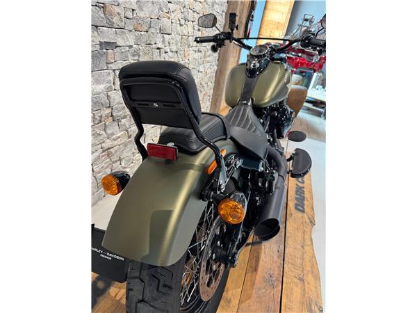2016 HARLEY-DAVIDSON Softail FLSS Softail Slim S110 ABS