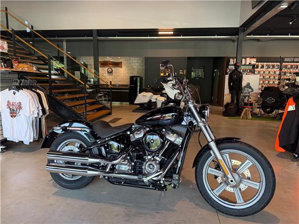 2024 HARLEY-DAVIDSON Softail FXST Softail Standard 107