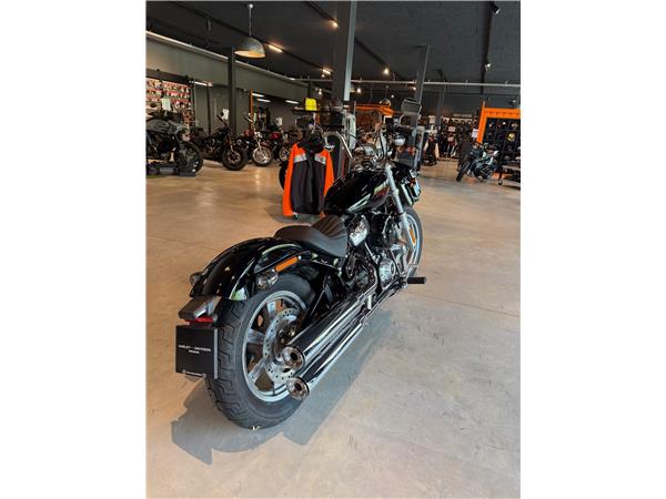 2024 HARLEY-DAVIDSON Softail FXST Softail Standard 107