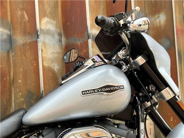 2019 Harley-Davidson Softail