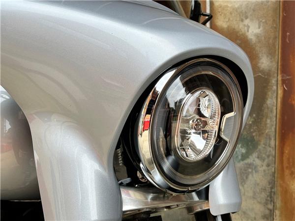 2019 Harley-Davidson Softail
