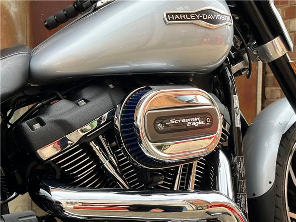 2019 Harley-Davidson Softail