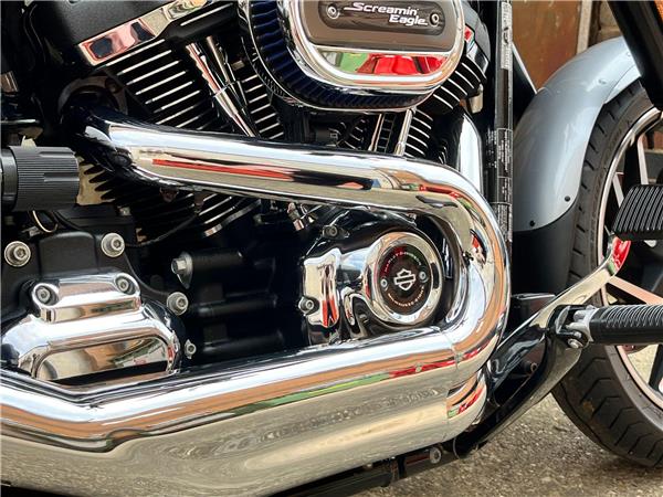 2019 Harley-Davidson Softail