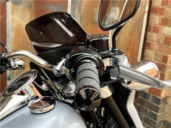 2019 Harley-Davidson Softail