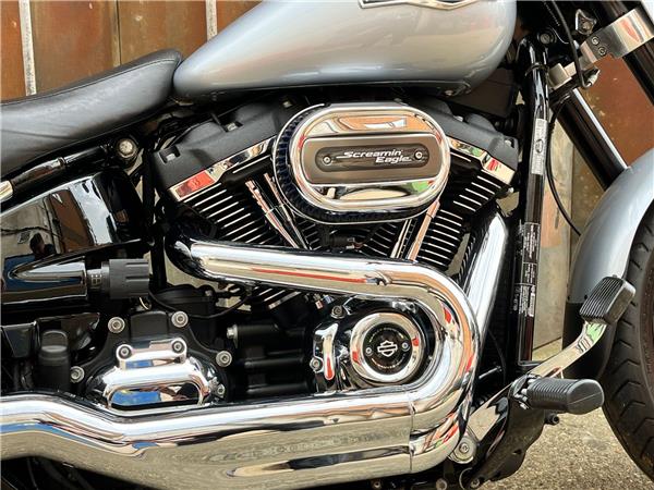 2019 Harley-Davidson Softail
