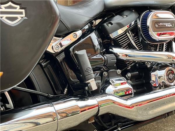 2019 Harley-Davidson Softail