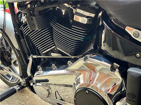 2019 Harley-Davidson Softail