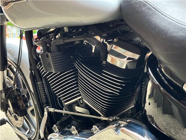2019 Harley-Davidson Softail