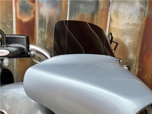 2019 Harley-Davidson Softail