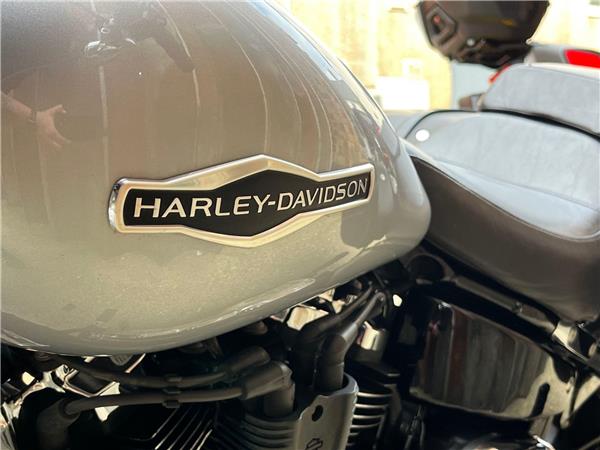 2019 Harley-Davidson Softail