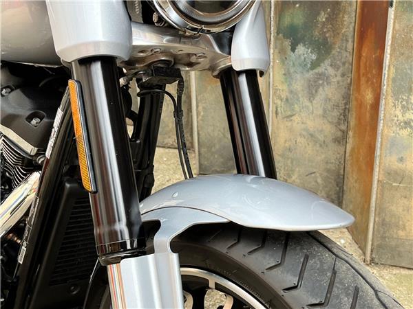 2019 Harley-Davidson Softail