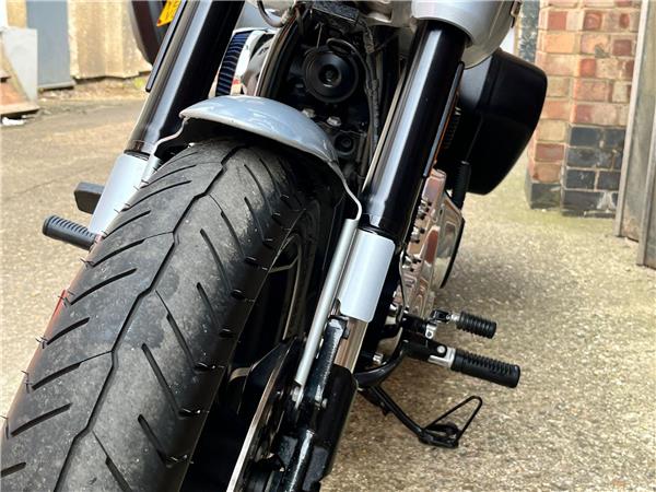 2019 Harley-Davidson Softail