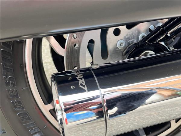 2019 Harley-Davidson Softail