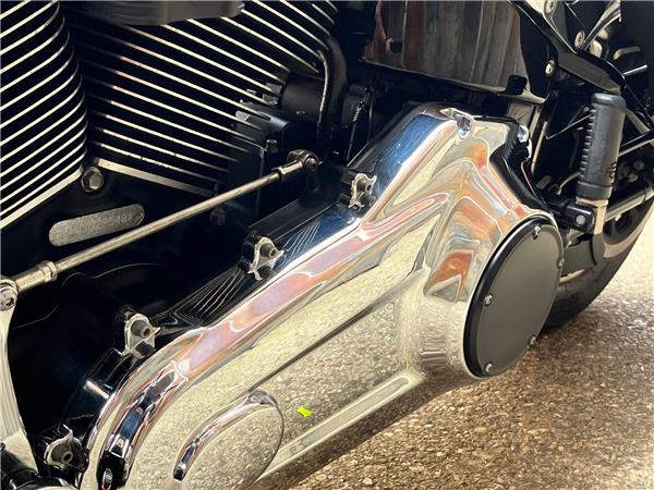 2019 Harley-Davidson Softail