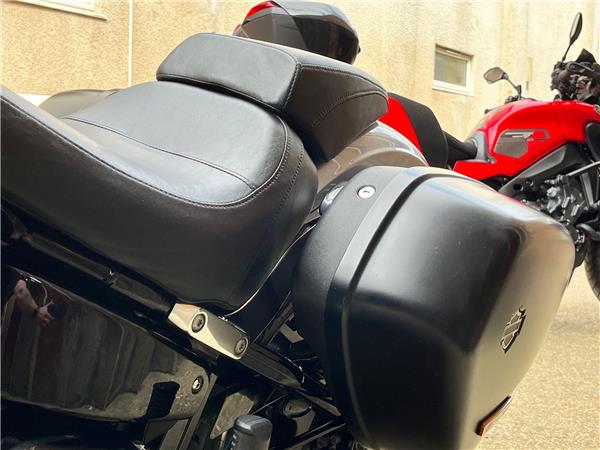 2019 Harley-Davidson Softail