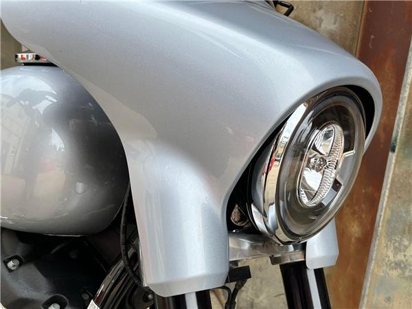 2019 Harley-Davidson Softail