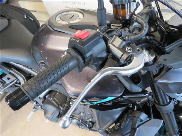 YAMAHA  MT-09   