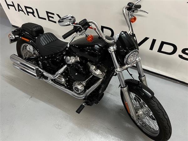 2021 HARLEY-DAVIDSON STANDARD