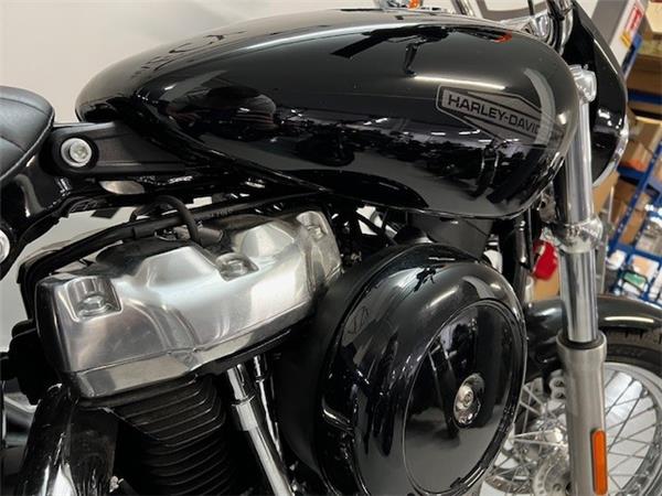 2021 HARLEY-DAVIDSON STANDARD