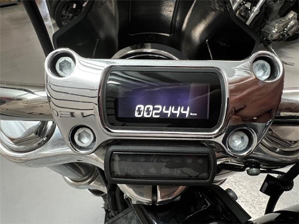 2021 HARLEY-DAVIDSON STANDARD