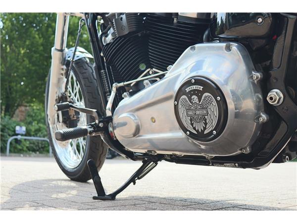 2023 HARLEY-DAVIDSON SOFTAIL STANDARD 