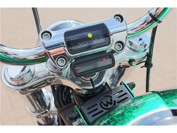 2023 HARLEY-DAVIDSON SOFTAIL STANDARD 