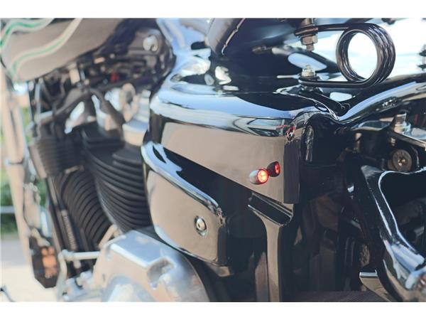 2023 HARLEY-DAVIDSON SOFTAIL STANDARD 