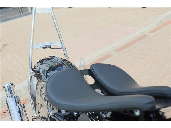 2023 HARLEY-DAVIDSON SOFTAIL STANDARD 